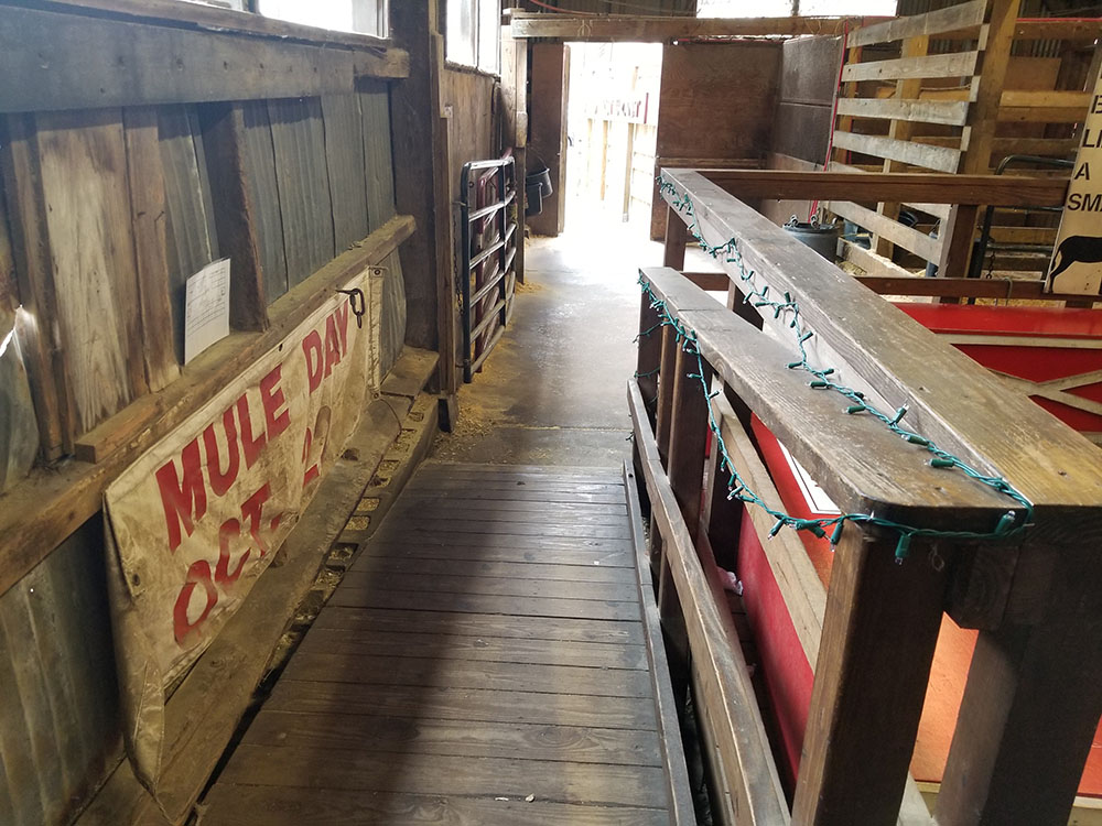 Palmetto Carriage Ride ramp to loading area